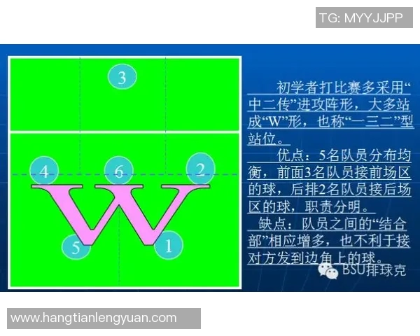 上海排球队战术解析：构建高效控制体系的关键策略与实践