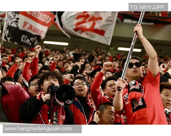 成都排球队战术引发热议球迷与专家观点大碰撞