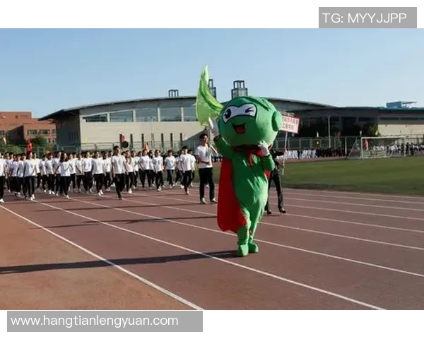 成都乒乓球队的节奏与风采探秘：从训练到比赛的全景观察