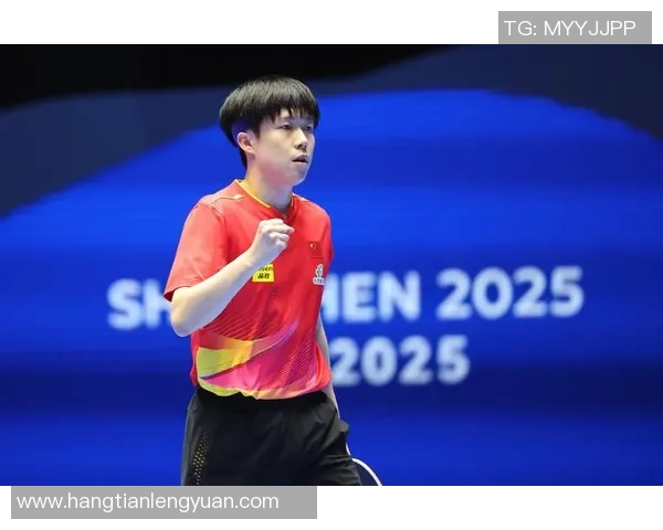 杭州乒乓球队在杯赛中的状态分析与表现评估