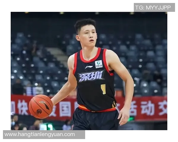 深入分析深圳篮球队独特进攻策略与战术特点的全面解读